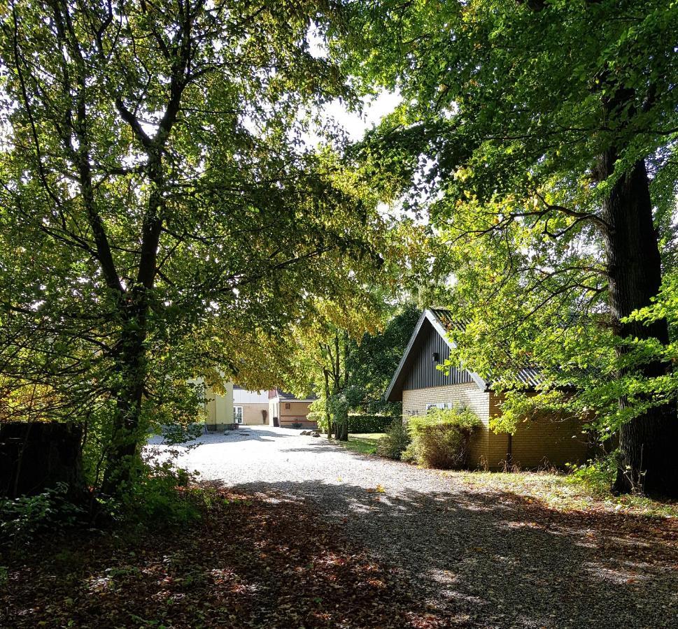 Pederstrup Bed And Breakfast Torrig المظهر الخارجي الصورة