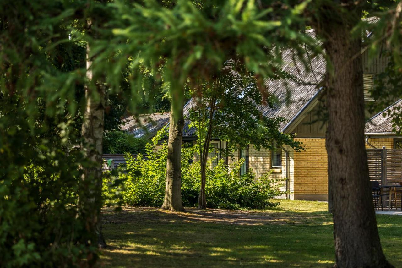 Pederstrup Bed And Breakfast Torrig المظهر الخارجي الصورة
